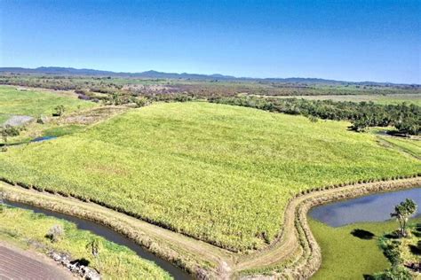 Cheap farm land for sale - 3173 Woodstock Giru Road, WOODSTOCK QLD 4816. ... Rural, Acreage & Farms for sale in QLD - Cropping, Dairy, Grazing, Mixed, Viticulture and more for sale. New properties daily - farmproperty.com.au.